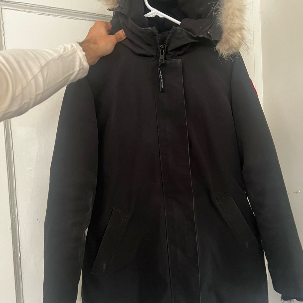 Canada Goose